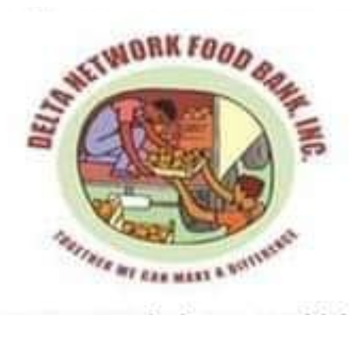 Delta Network Inc logo