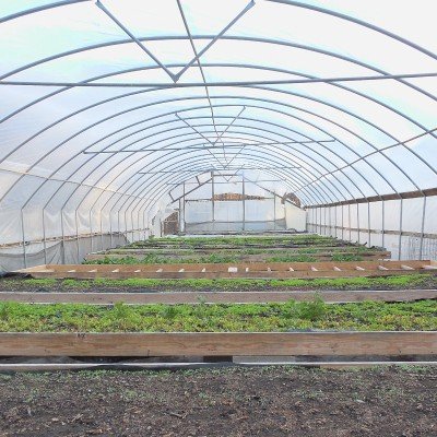 Seven Harvest Inc logo