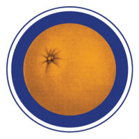 Food Forward Inc logo