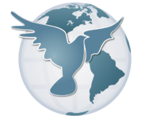 New Song Bible Fellowship Chr logo