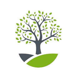 Bluff Park United Methodist Church logo